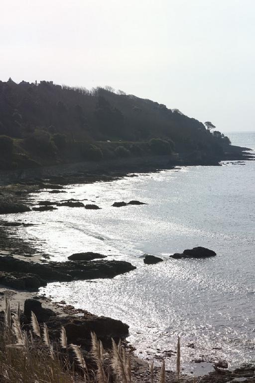 Hotel Park View Townhouse Falmouth Exteriér fotografie